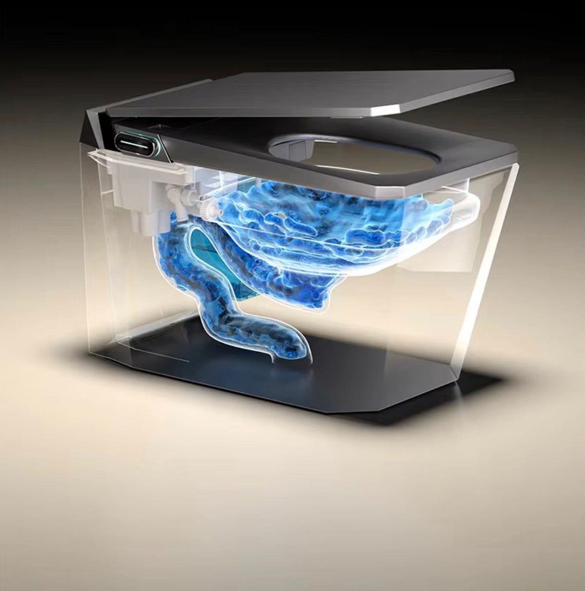Baldinotti Advanced Intelligent Smart Toilet