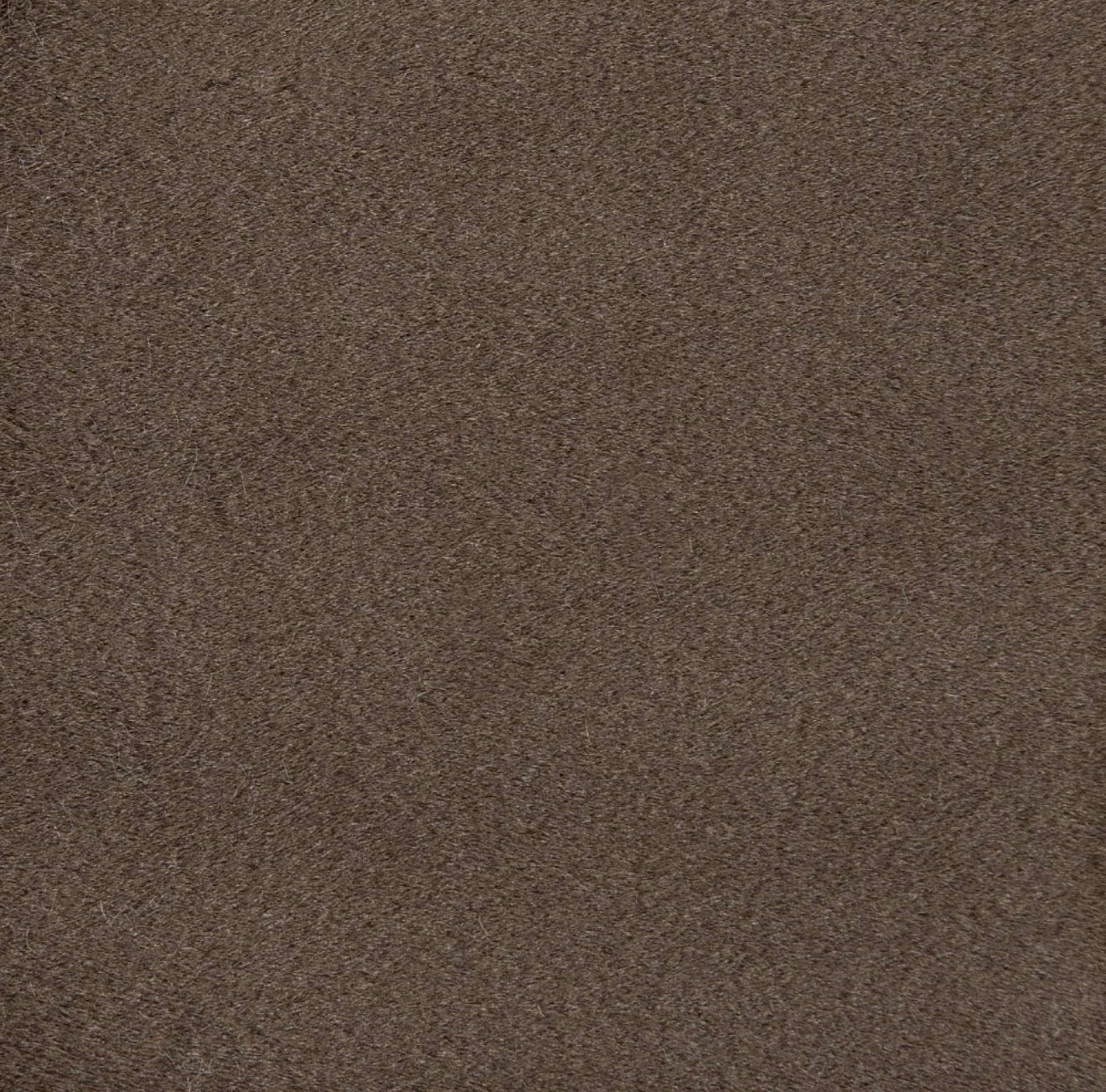 Casa Milano Caress Taupe Velvet Dining Chair