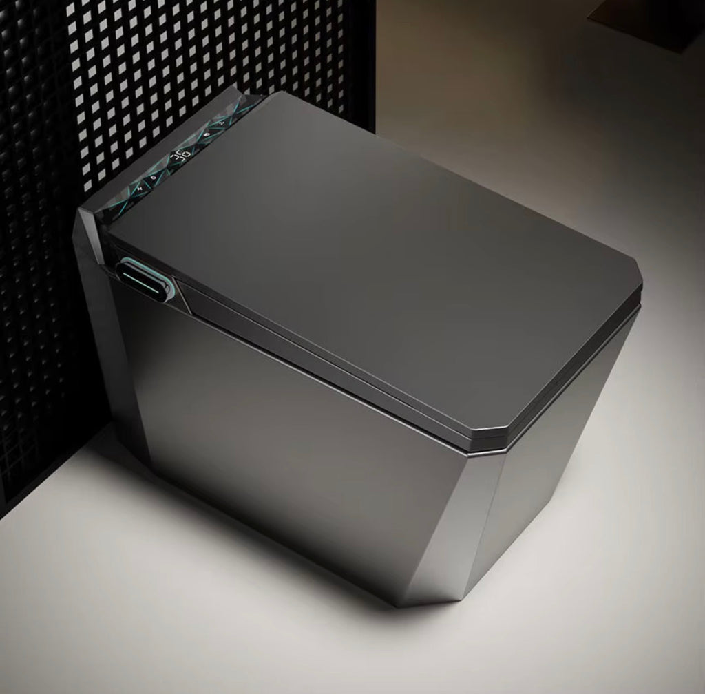 Baldinotti Advanced Intelligent Smart Toilet
