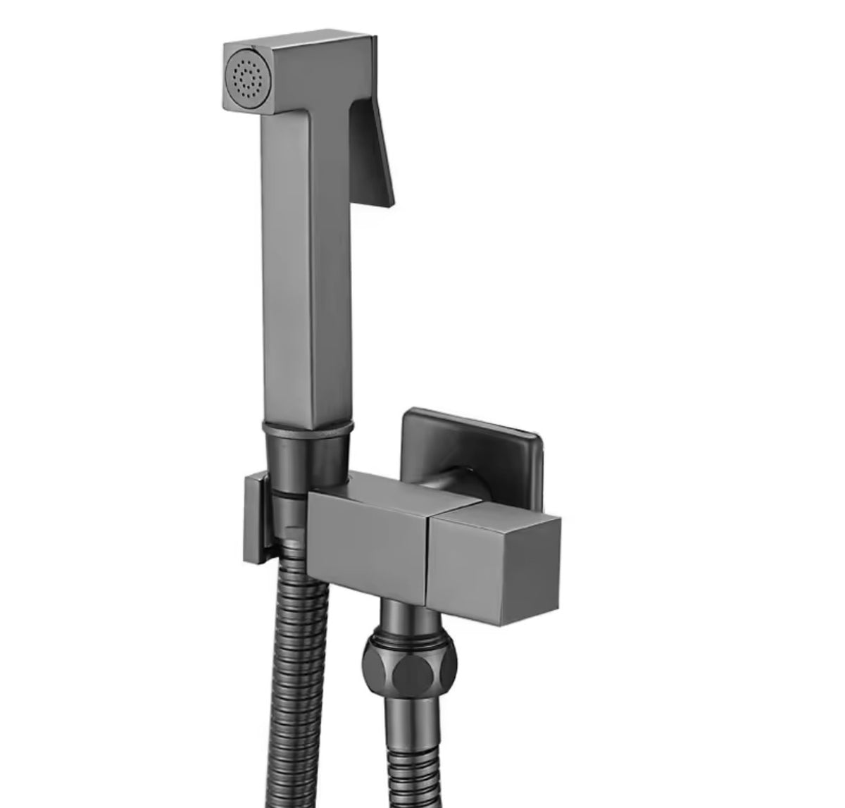 Lucia Wall-Mounted Stainless Steel Bidet Sprayer