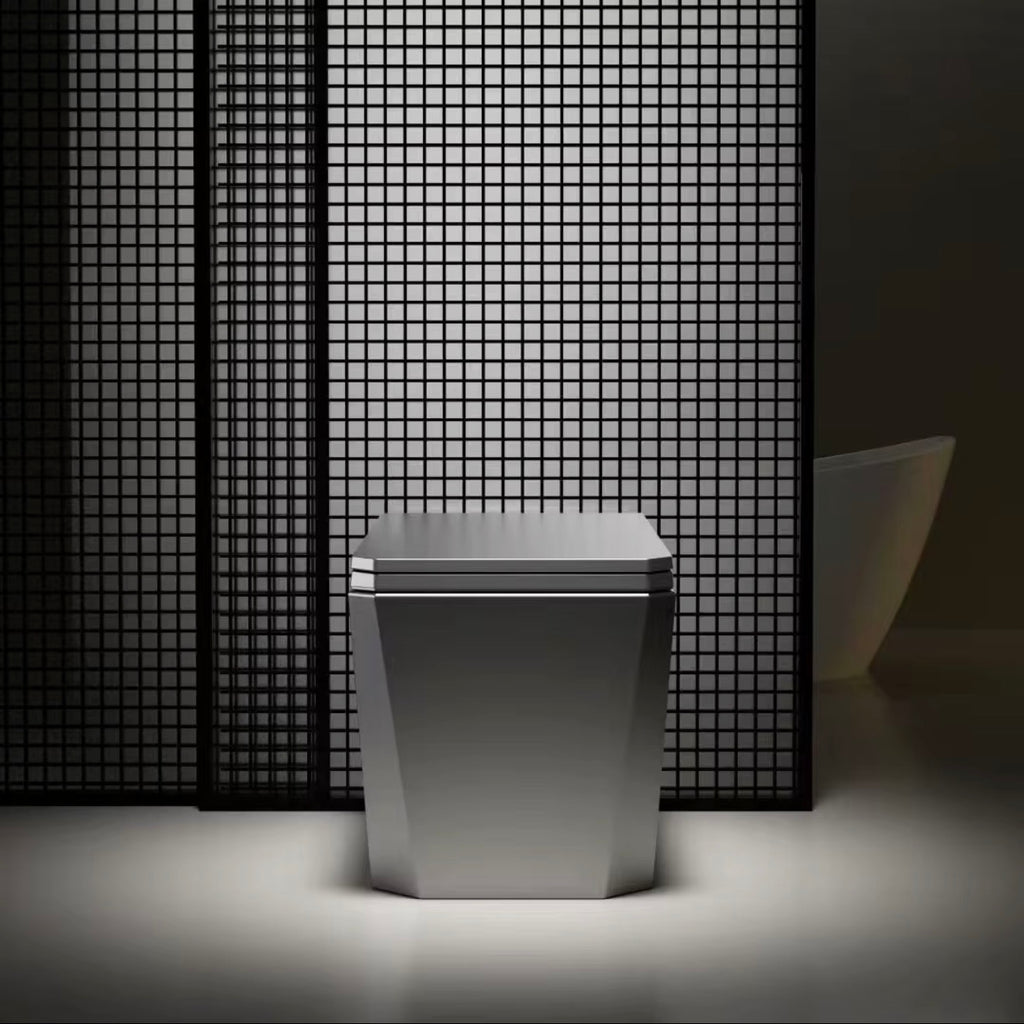 Baldinotti Advanced Intelligent Smart Toilet