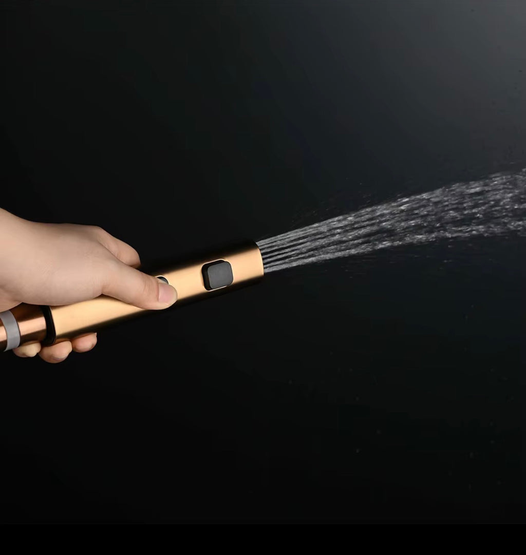 Alessia Wall-Mounted Bidet Sprayer & Toilet Companion Set