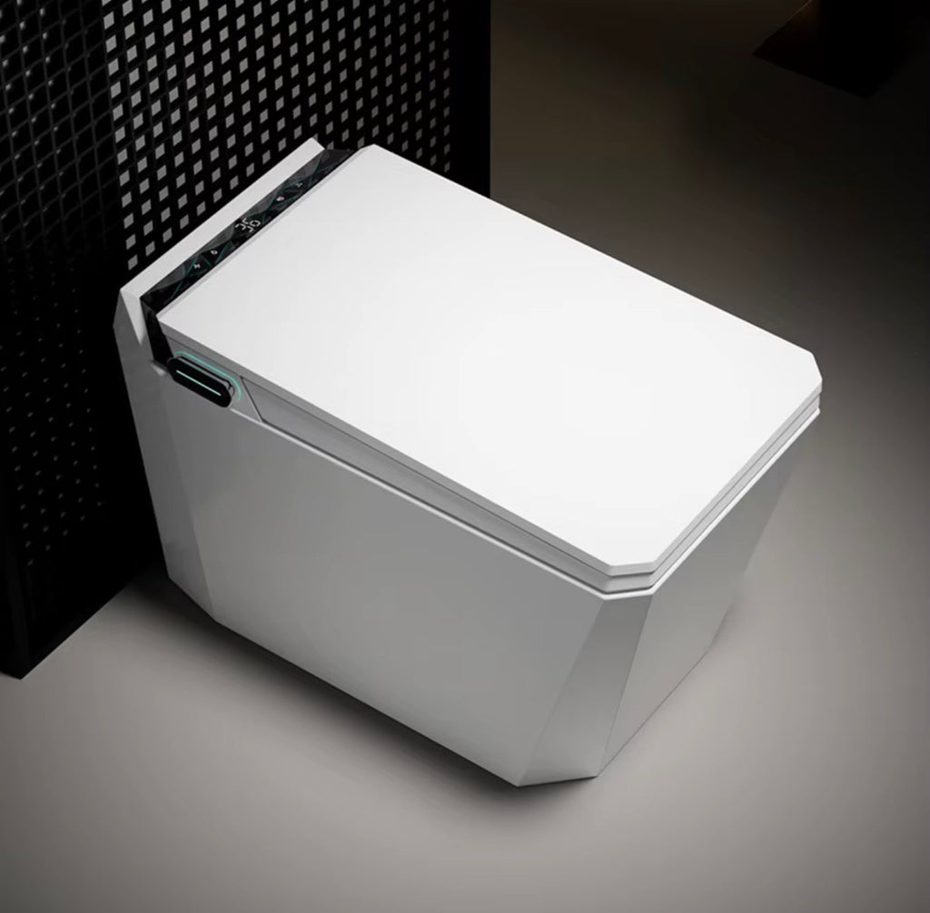 Baldinotti Advanced Intelligent Smart Toilet