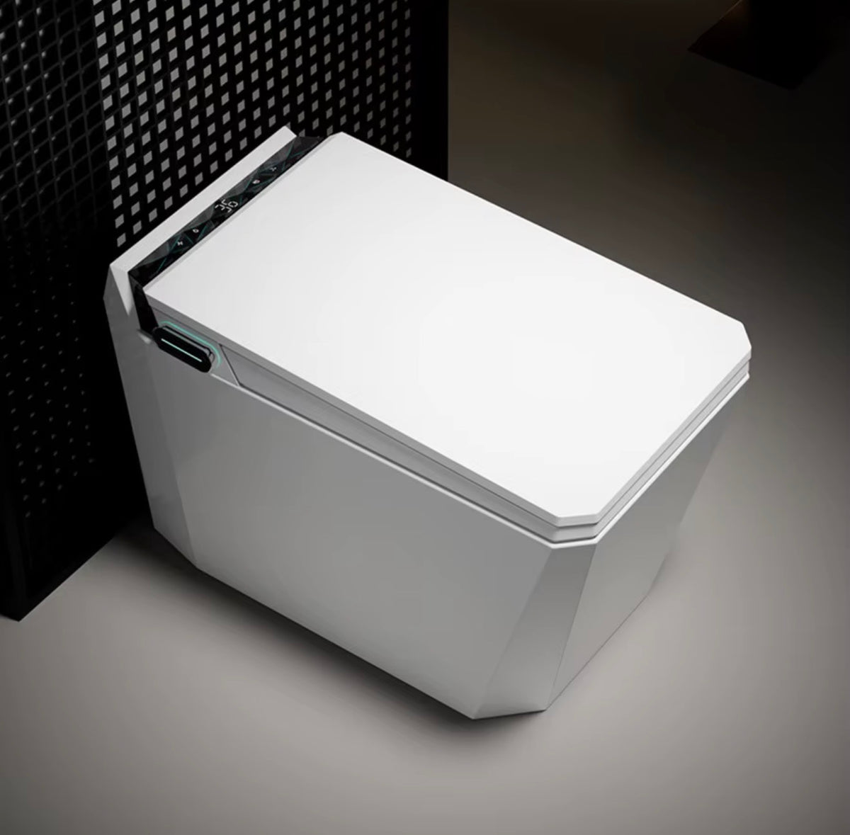Baldinotti Advanced Intelligent Smart Toilet
