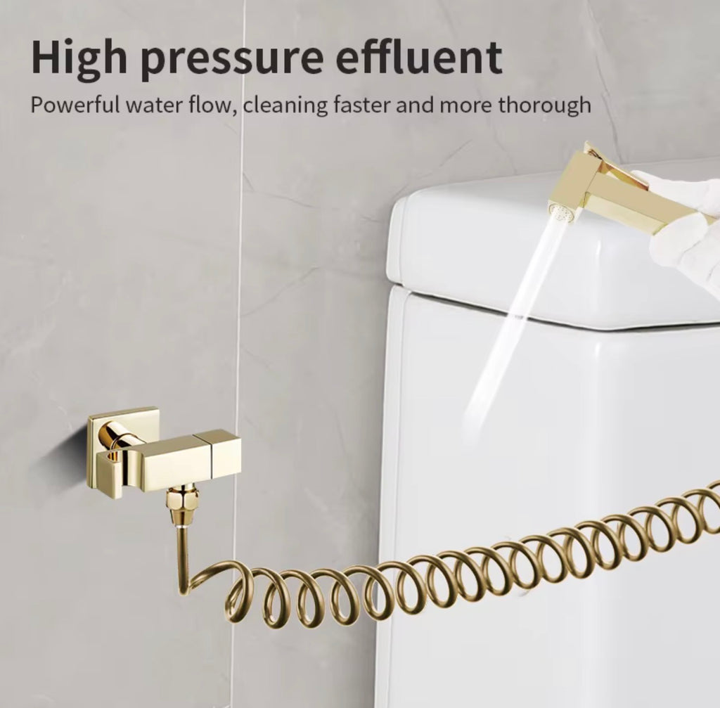 Lucia Wall-Mounted Stainless Steel Bidet Sprayer