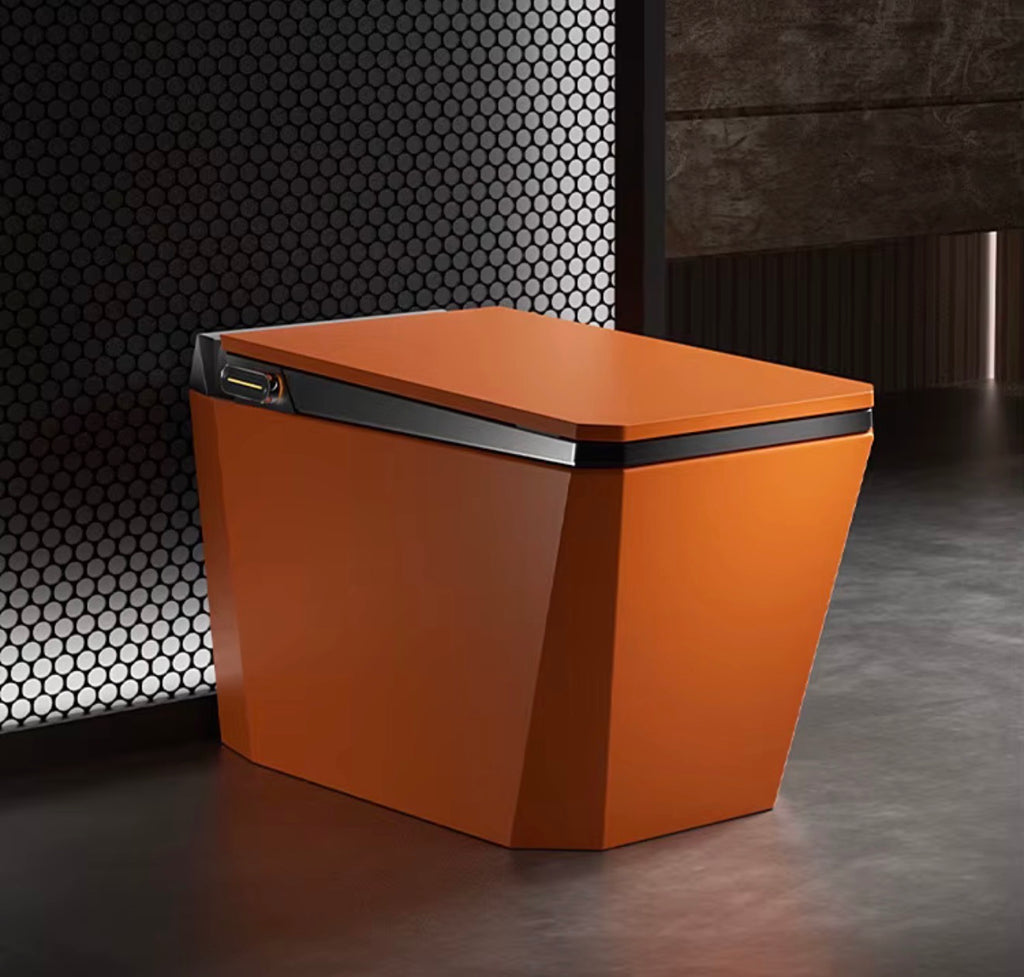 Baldinotti Advanced Intelligent Smart Toilet
