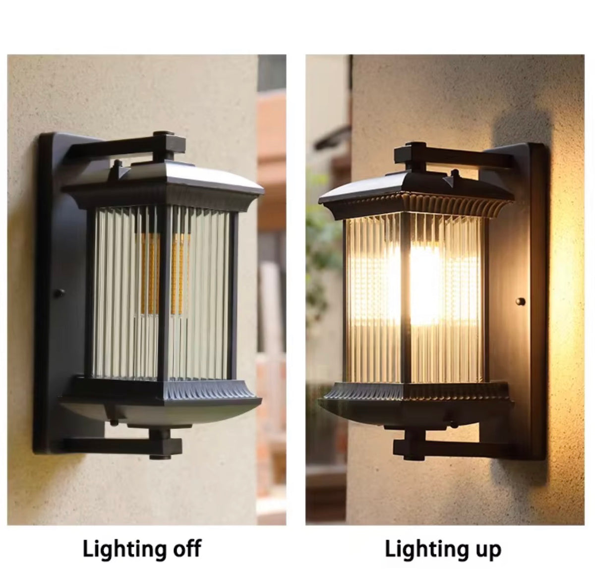 Bellamy Outdoor Wall Lantern