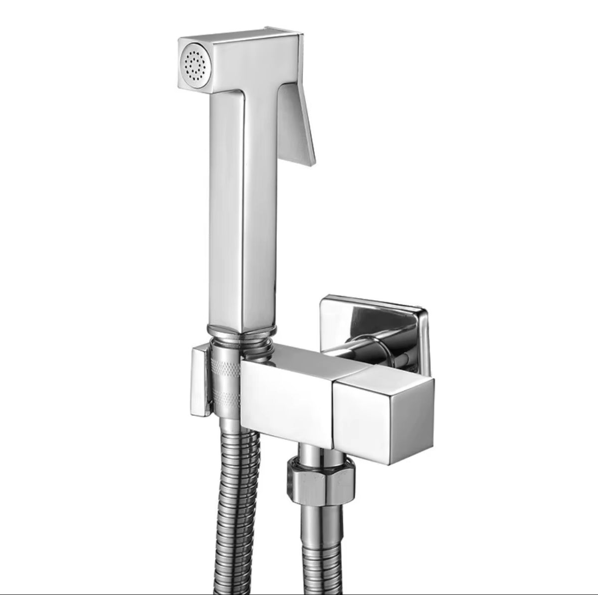 Lucia Wall-Mounted Stainless Steel Bidet Sprayer