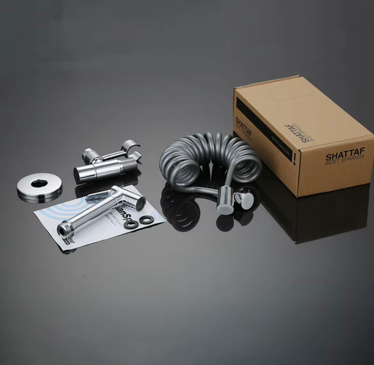 Valerio Chrome Handheld Bidet Sprayer Set