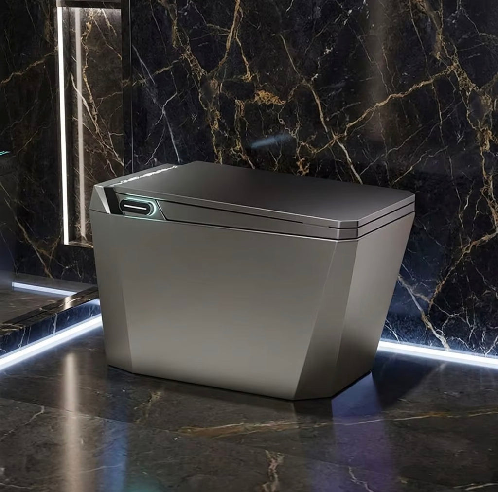 Baldinotti Advanced Intelligent Smart Toilet