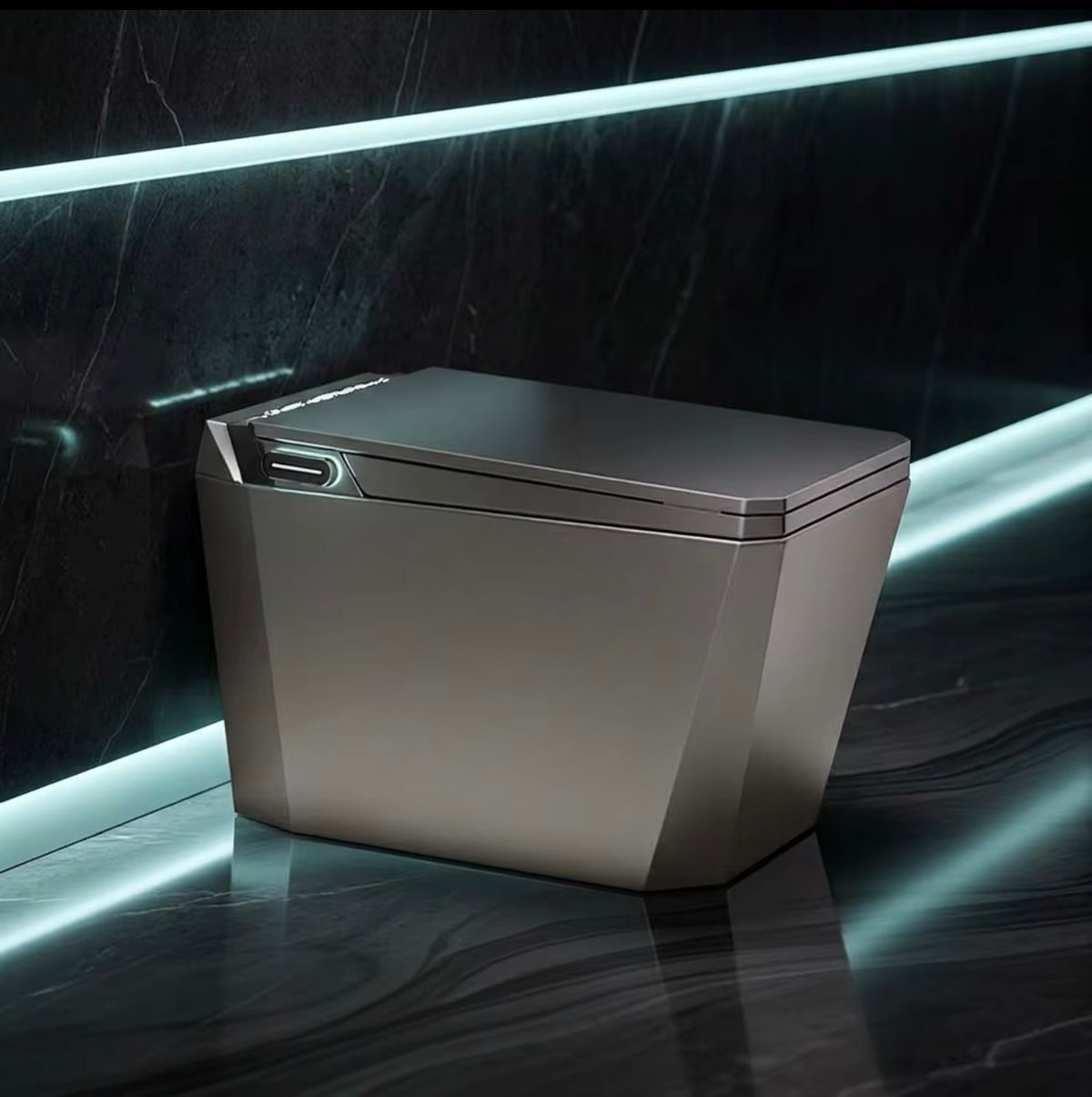 Baldinotti Advanced Intelligent Smart Toilet