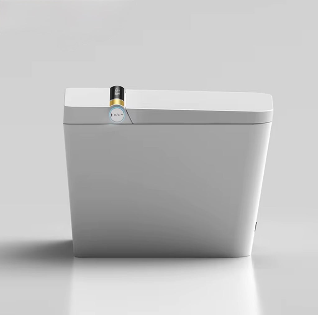 FIORENZO INTELLIGENT SMART TOILET WITH BIDET & AUTO FLUSH