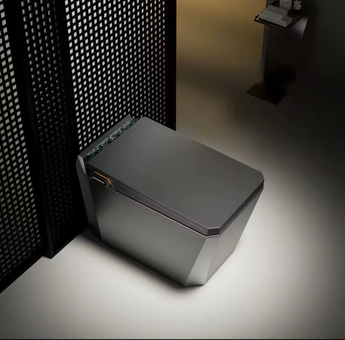 Baldinotti Advanced Intelligent Smart Toilet