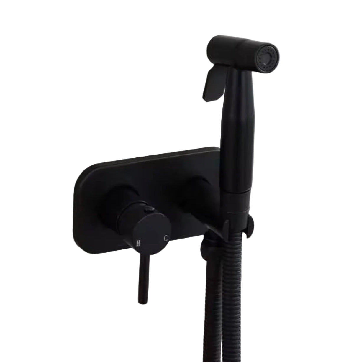Lucienne Brass Hot & Cold Wall-Mounted Bidet Sprayer Set