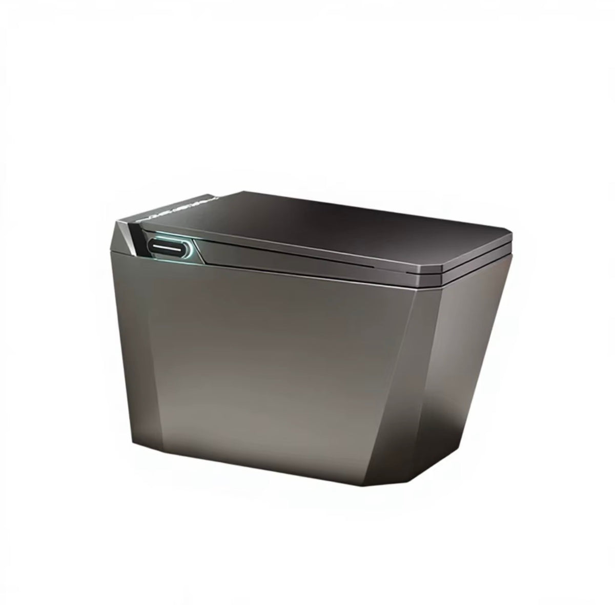 Baldinotti Advanced Intelligent Smart Toilet