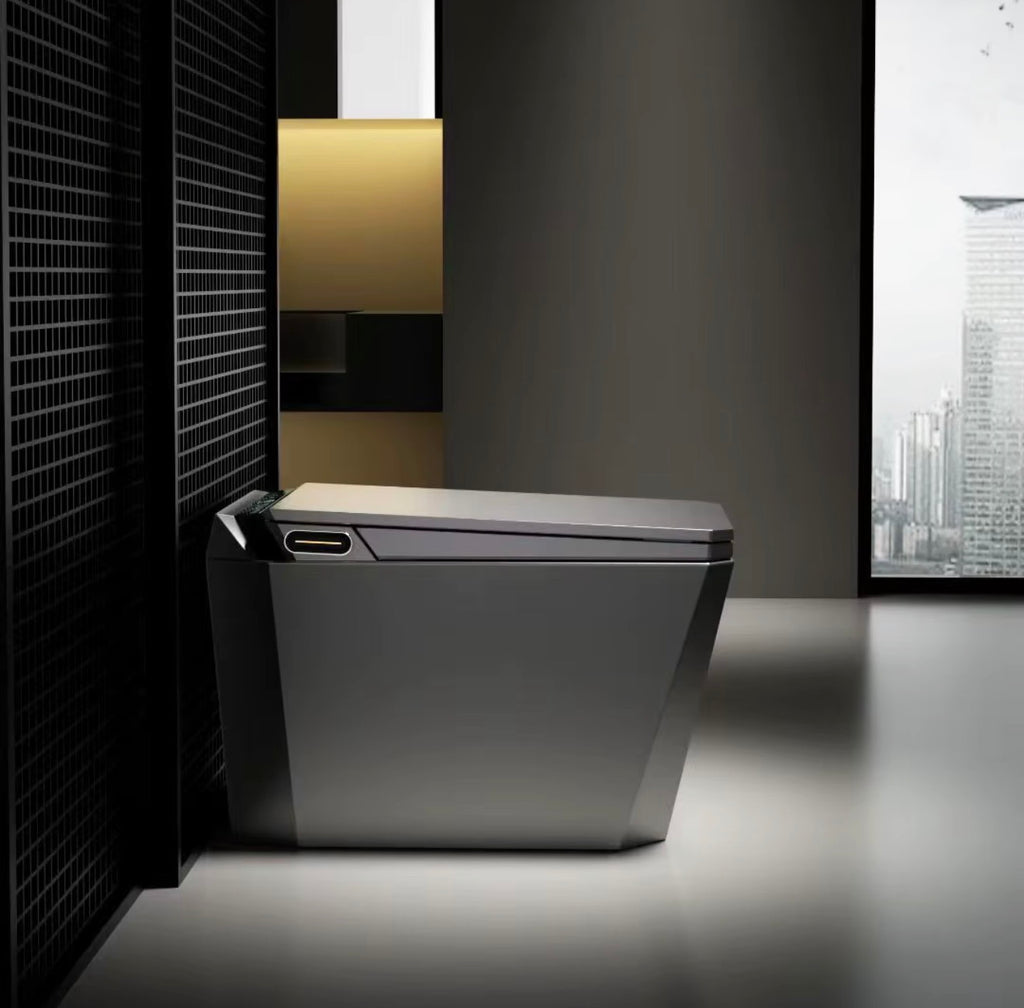 Baldinotti Advanced Intelligent Smart Toilet