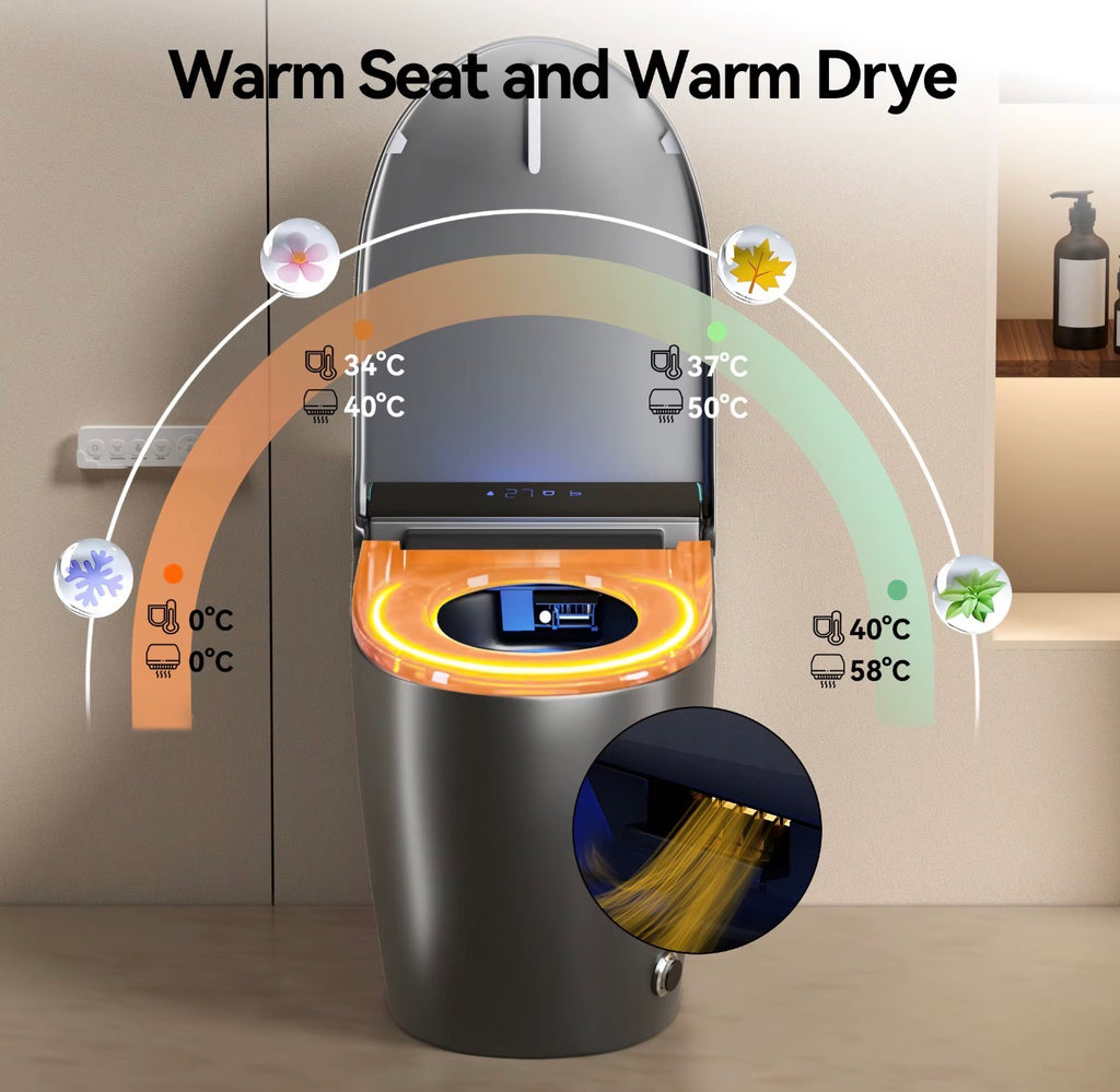 Lorenzo Graphite Intelligent Smart Toilet