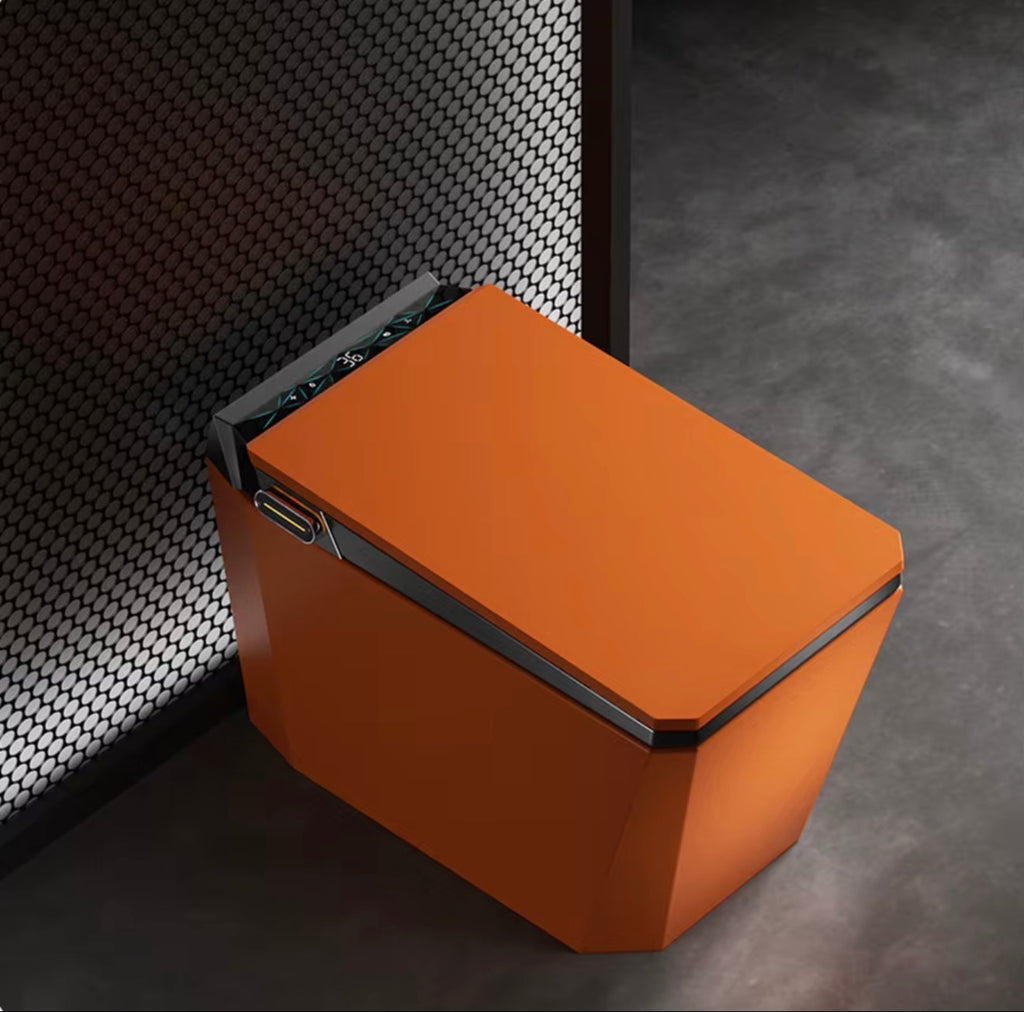 Baldinotti Advanced Intelligent Smart Toilet