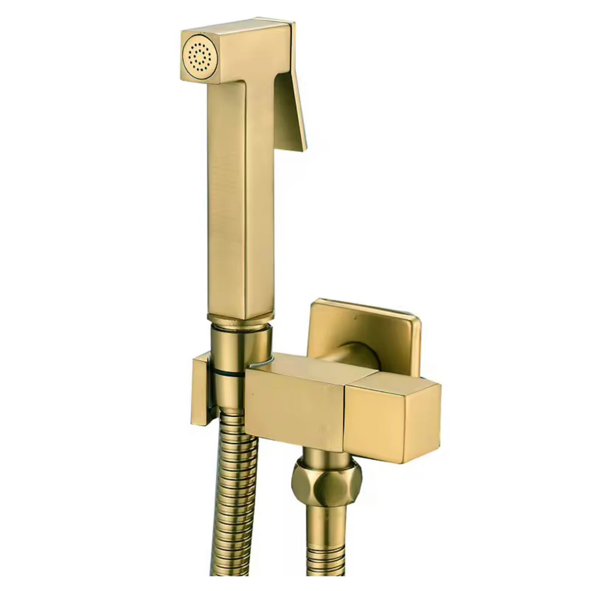 Lucia Wall-Mounted Stainless Steel Bidet Sprayer