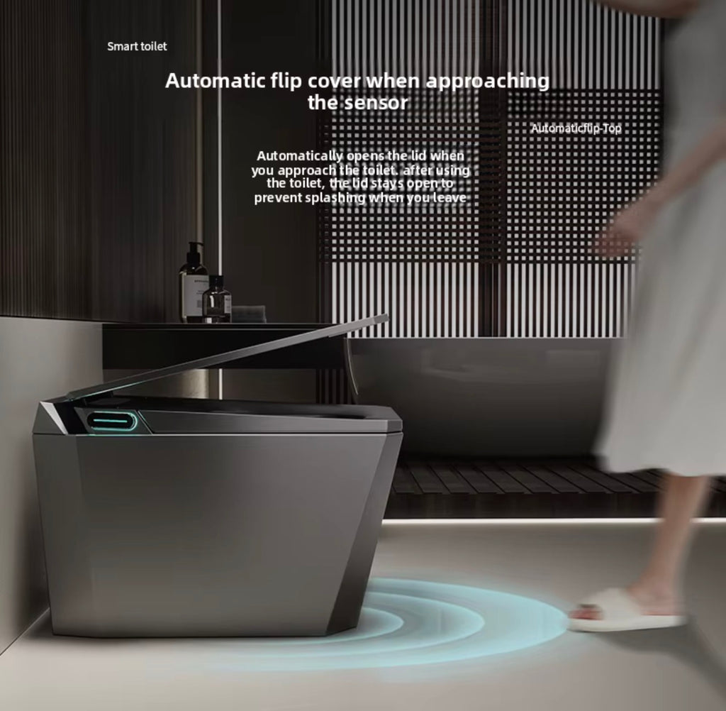 Baldinotti Advanced Intelligent Smart Toilet