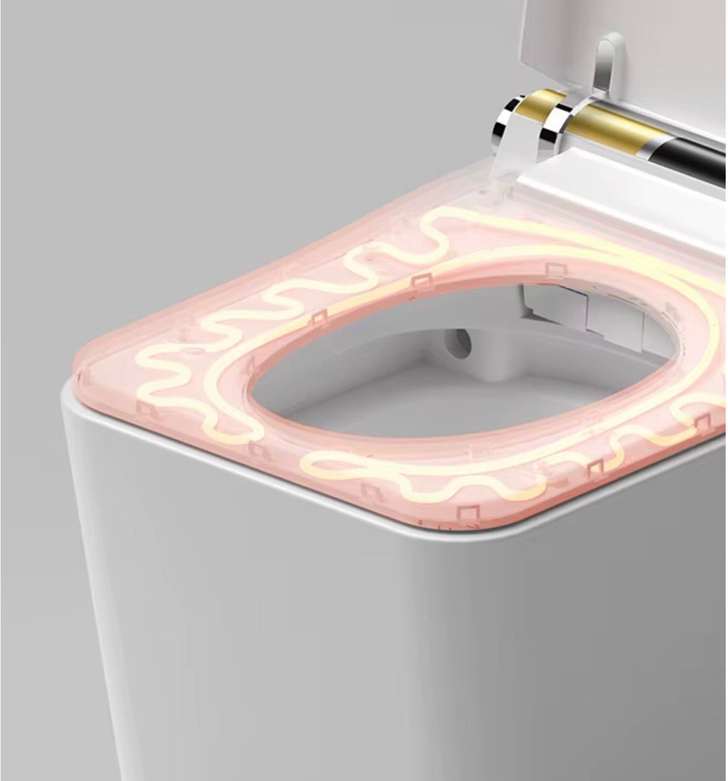 FIORENZO INTELLIGENT SMART TOILET WITH BIDET & AUTO FLUSH