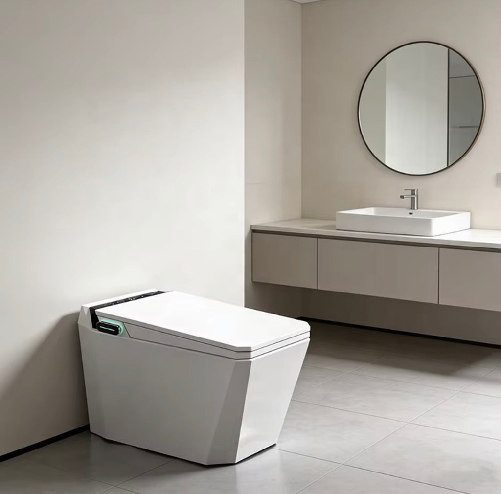 Baldinotti Advanced Intelligent Smart Toilet