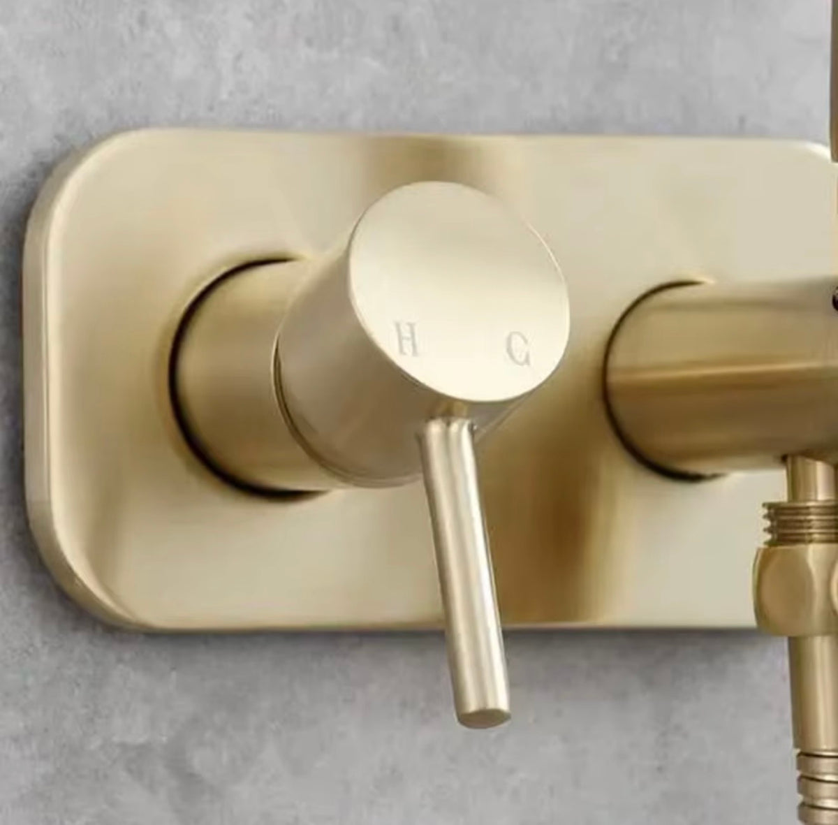 Lucienne Brass Hot & Cold Wall-Mounted Bidet Sprayer Set