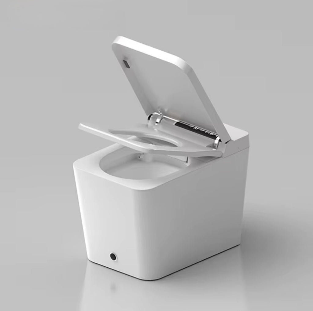 FIORENZO INTELLIGENT SMART TOILET WITH BIDET & AUTO FLUSH