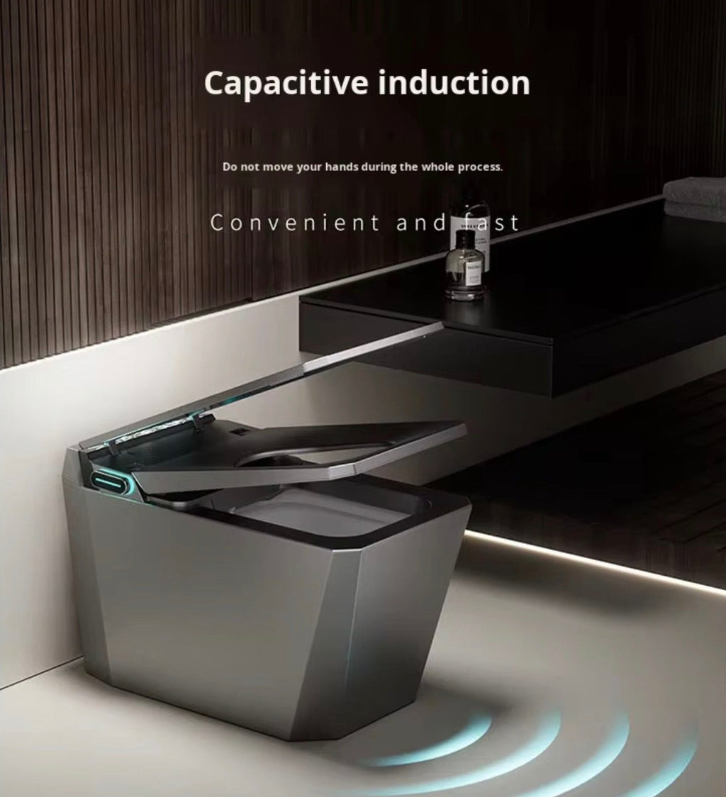 Baldinotti Advanced Intelligent Smart Toilet