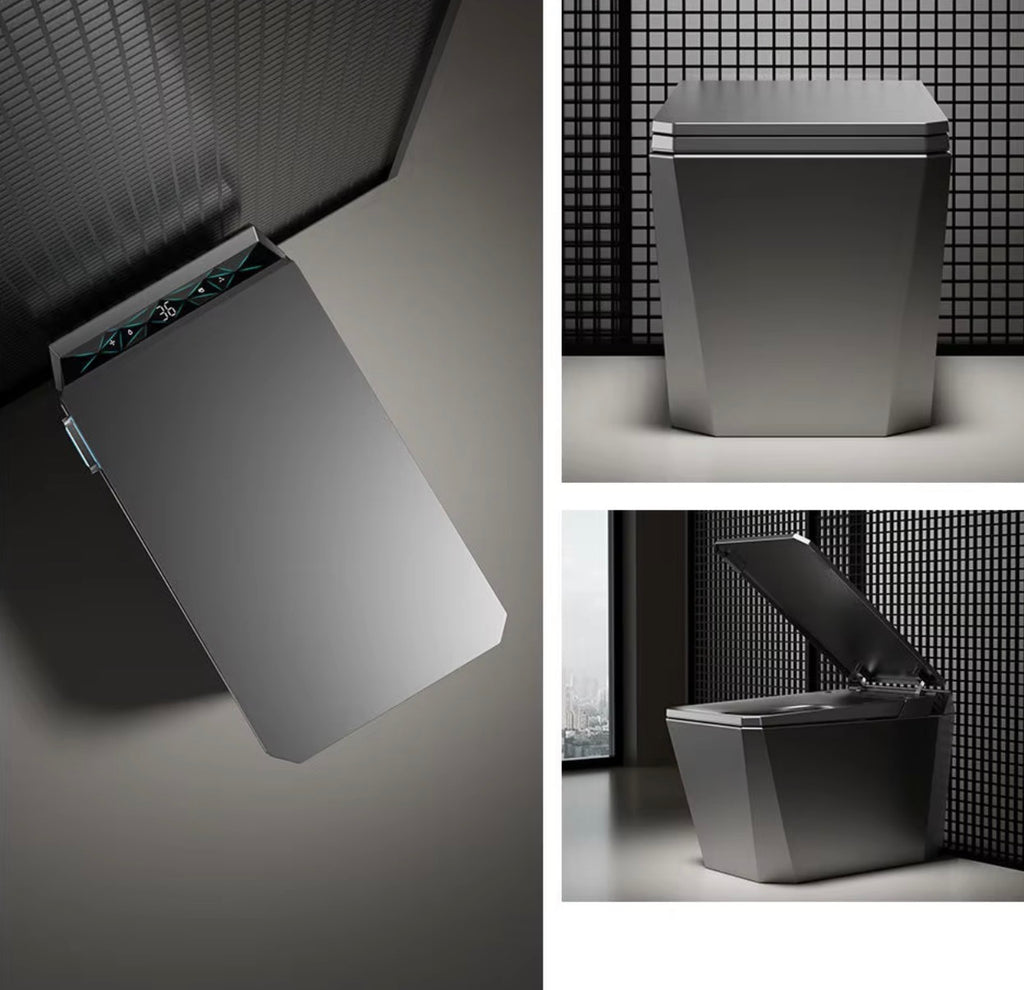 Baldinotti Advanced Intelligent Smart Toilet