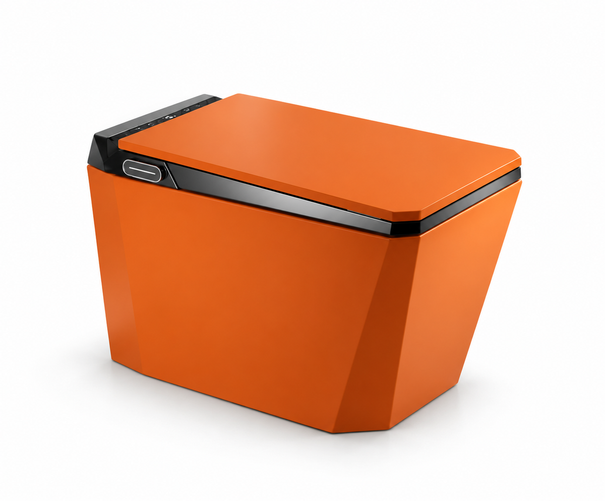Baldinotti Advanced Intelligent Smart Toilet