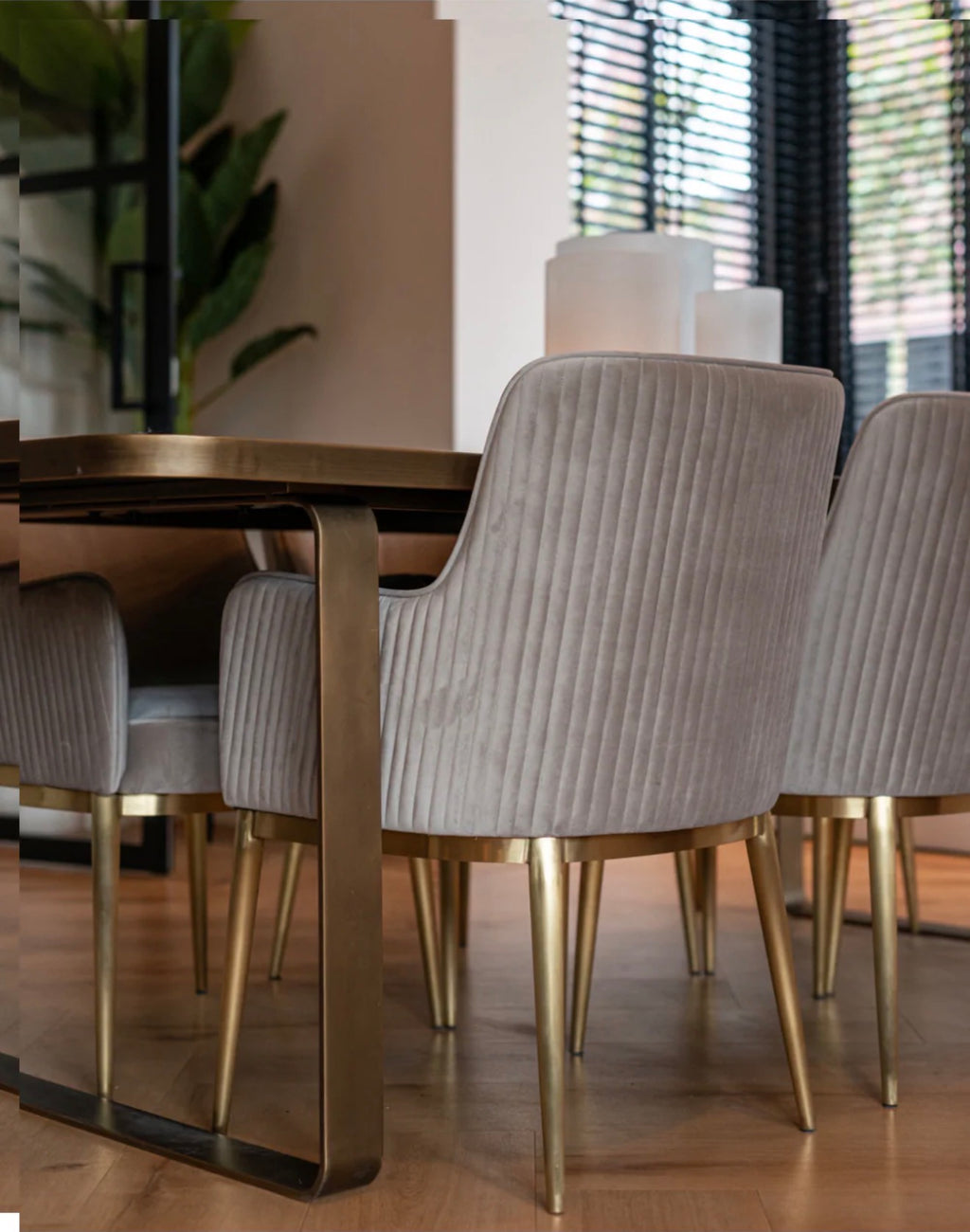 Casa Milano – Richmond Interiors Breeze Velvet Dining Armchair