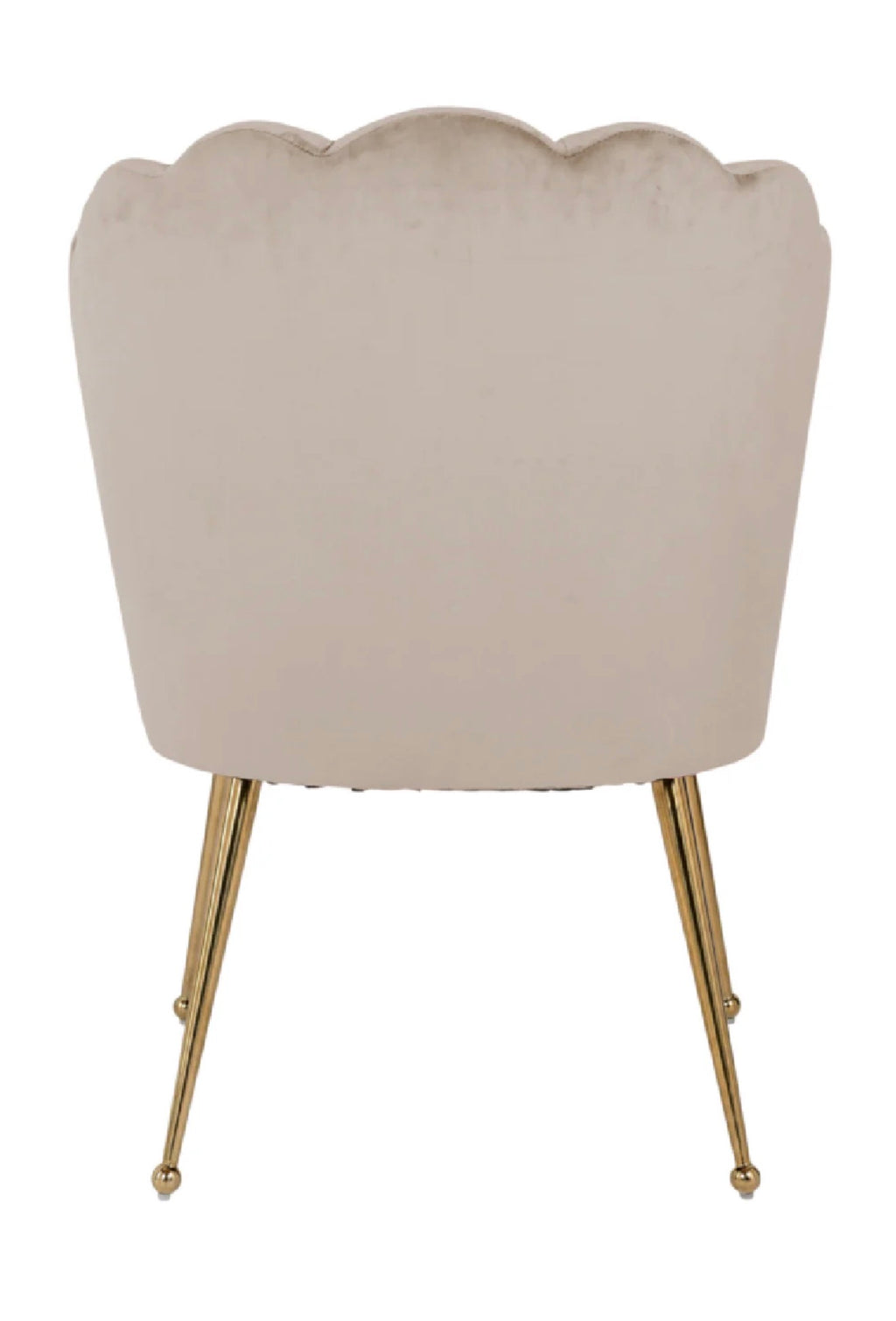 Casa Milano – Scalloped Khaki Velvet Dining Chair | Richmond Interiors Pippa