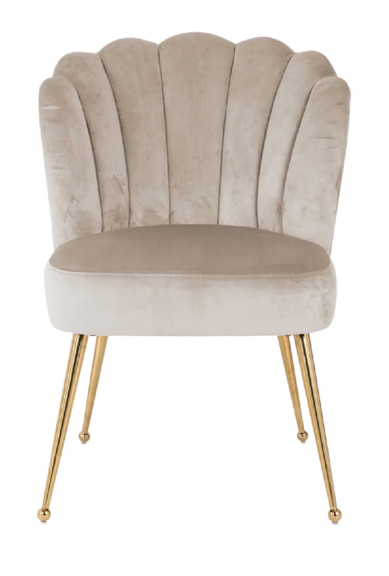 Casa Milano – Scalloped Khaki Velvet Dining Chair | Richmond Interiors Pippa