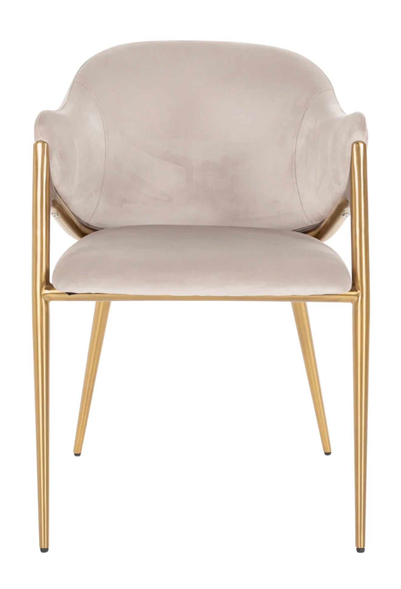 Casa Milano – Modern Velvet Dining Chair