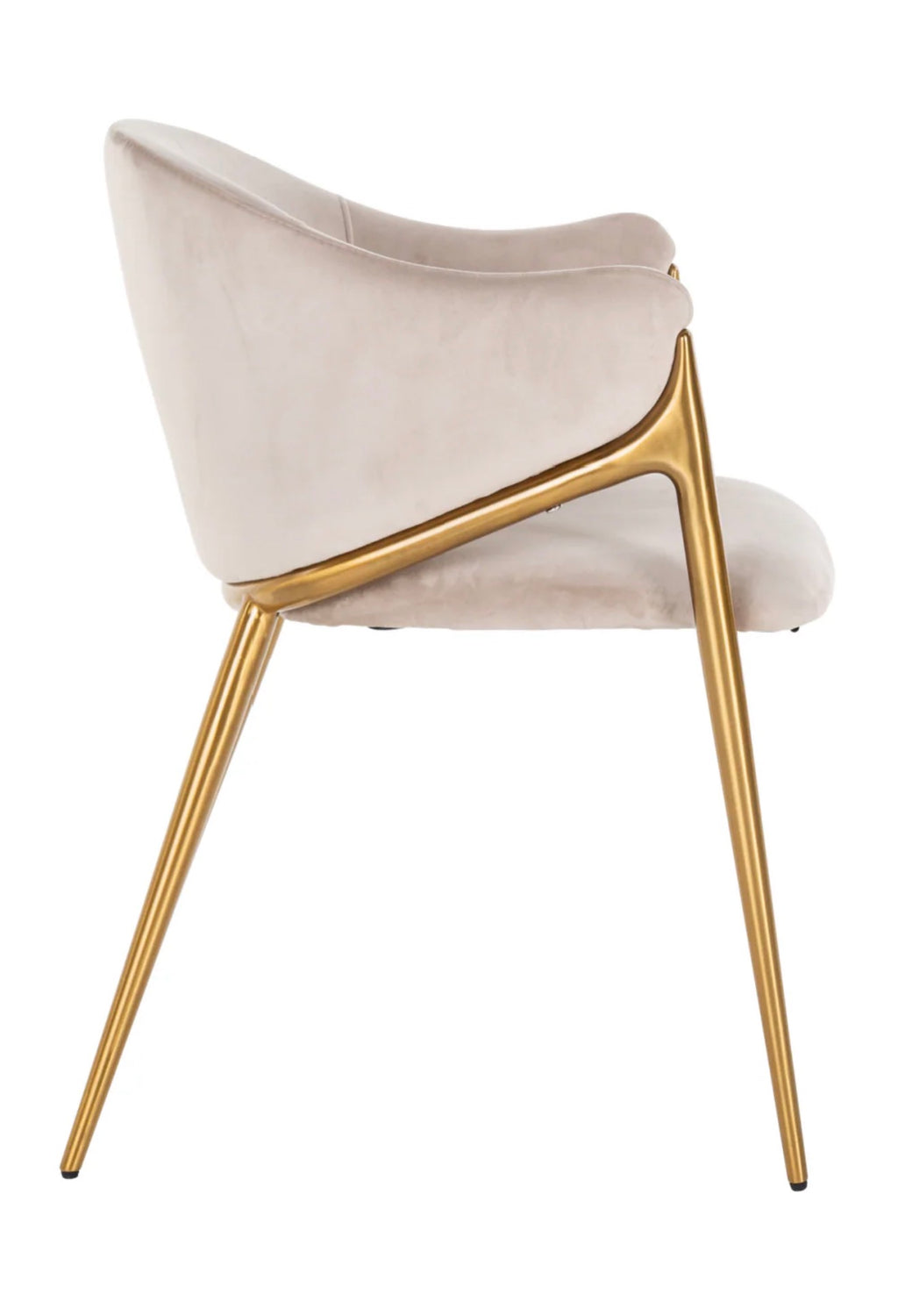 Casa Milano – Modern Velvet Dining Chair